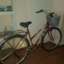 фото Stels Navigator 350 Lady 28' Z010 | покупатели 100bike
